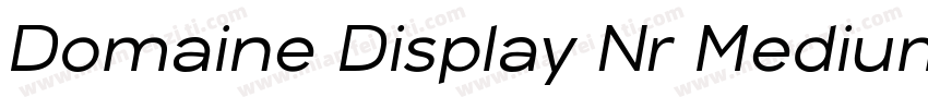 Domaine Display Nr Medium Italic字体转换